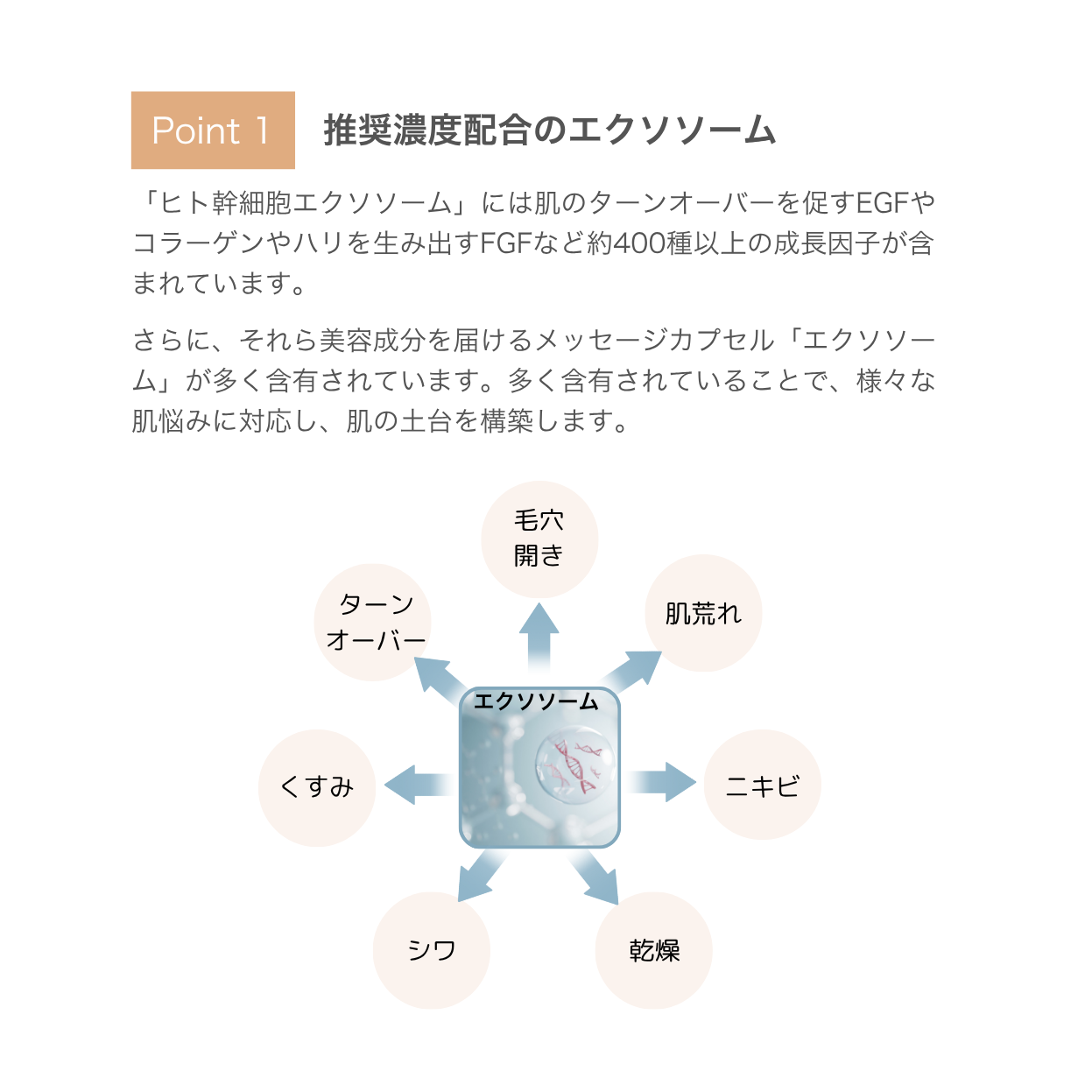 33 ブースターセラム（導入美容液） | SKINCOACH