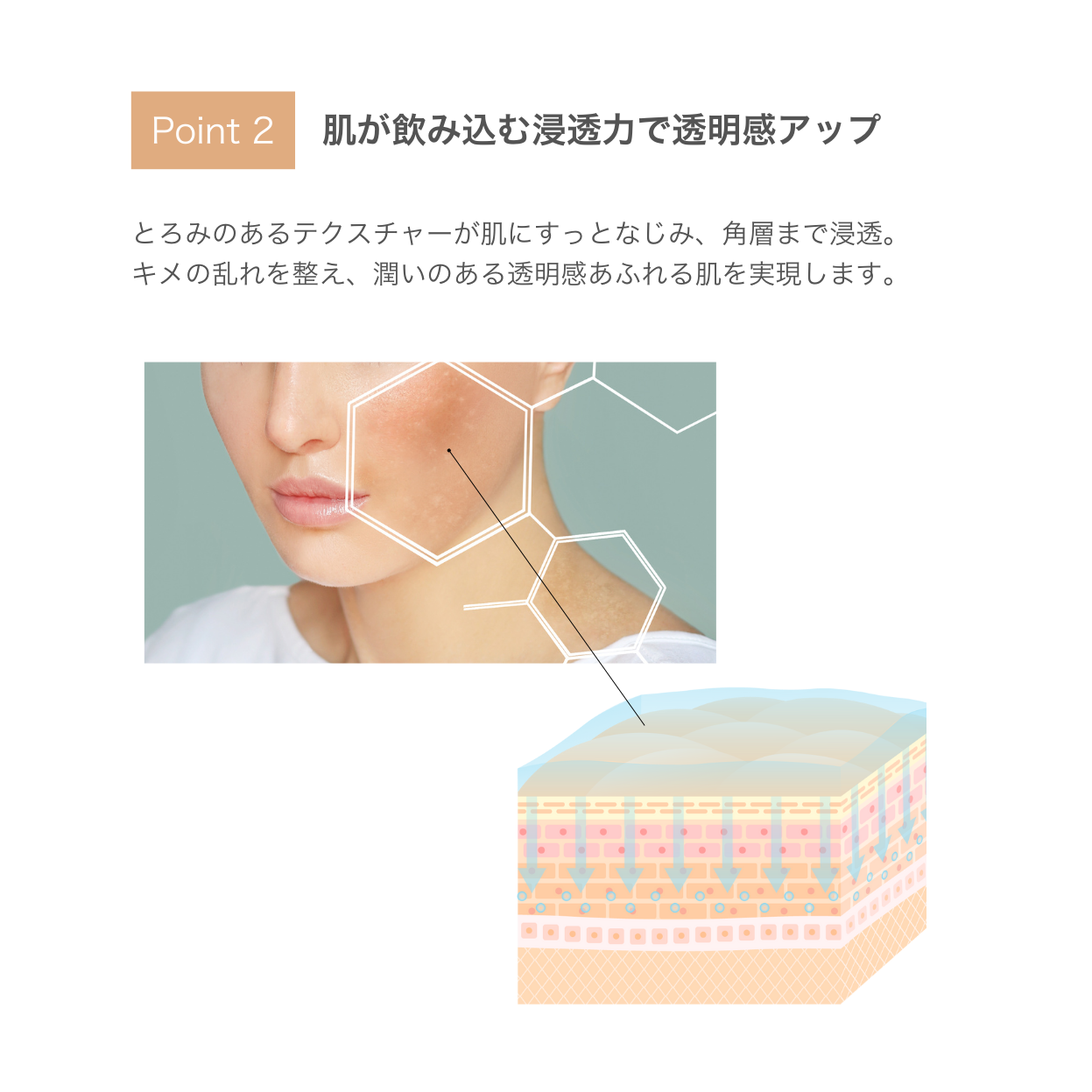42 ジェルローション（化粧水） | SKINCOACH