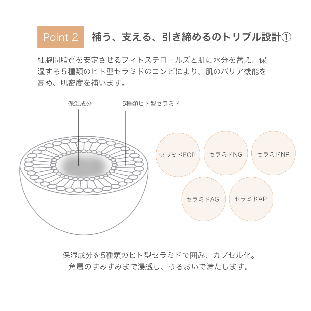 81 スフレクリーム（クリーム） | SKINCOACH