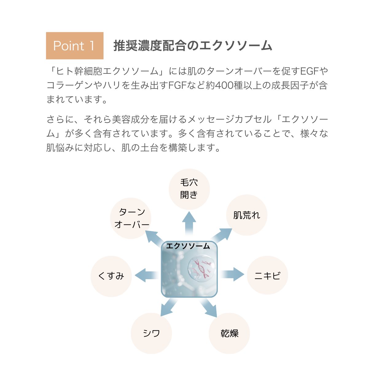 82 ジェルクリーム（クリーム） | SKINCOACH