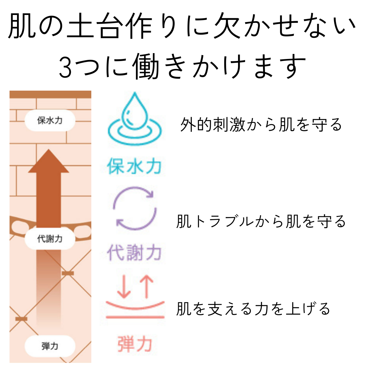 81 スフレクリーム（クリーム） | SKINCOACH